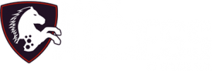MaxAccess logo